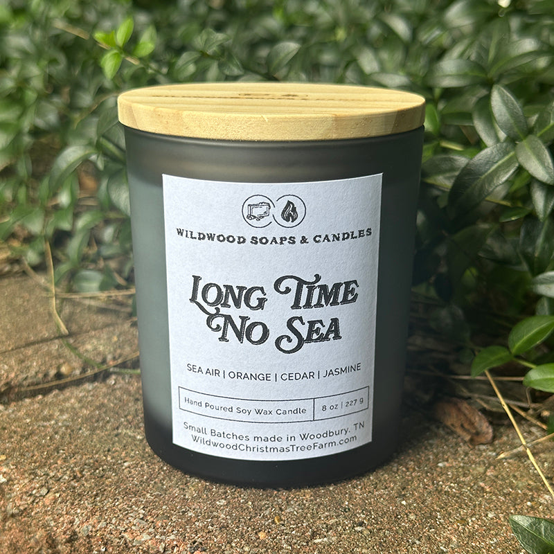 Candle - Long Time No Sea