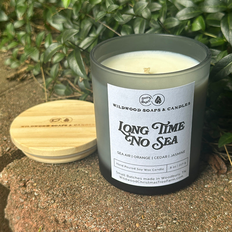 Candle - Long Time No Sea