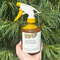 Cleaner - Pine & Citrus