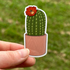 Cute Cactus Sticker