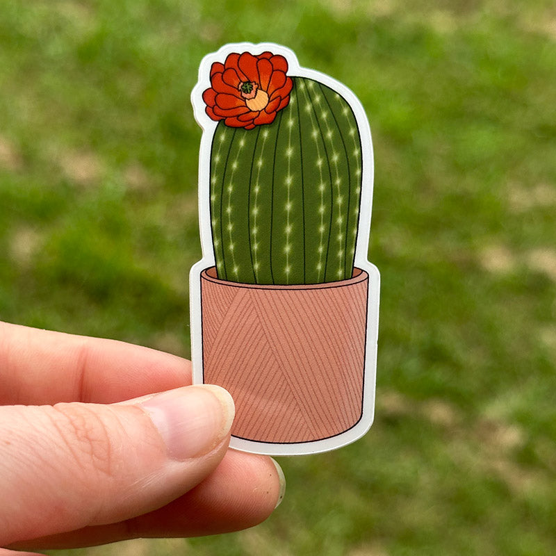 Cute Cactus Sticker