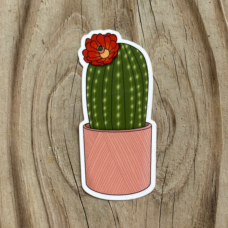 Cute Cactus Sticker