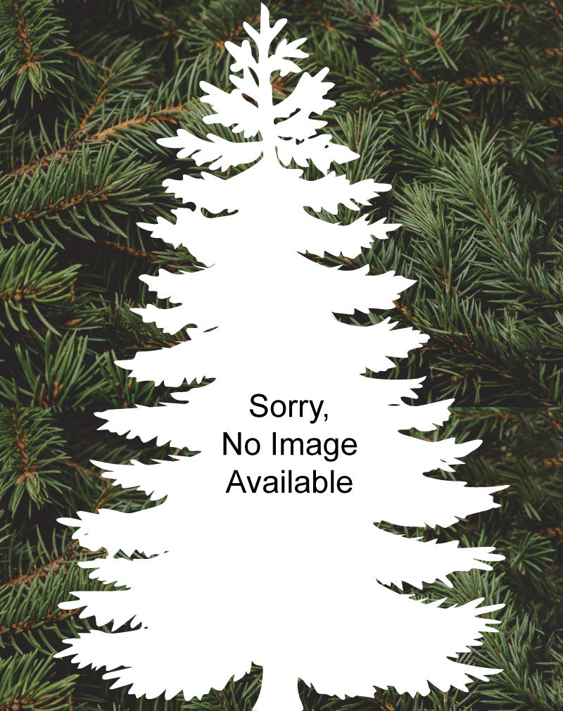 Pre-Cut Fraser Fir - 7'