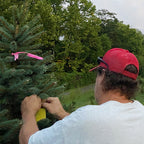 Tag a Tree Appointment