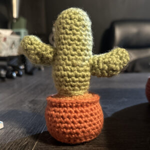 Desktop Cacti & Succulents