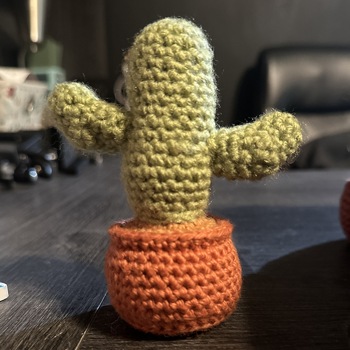 Desktop Cacti & Succulents