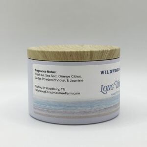 Candle - Long Time No Sea