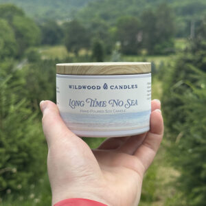 Candle - Long Time No Sea