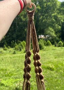 Macrame Plant Hangers