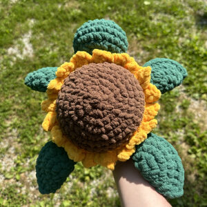 Sea Turtles - Nature Themed