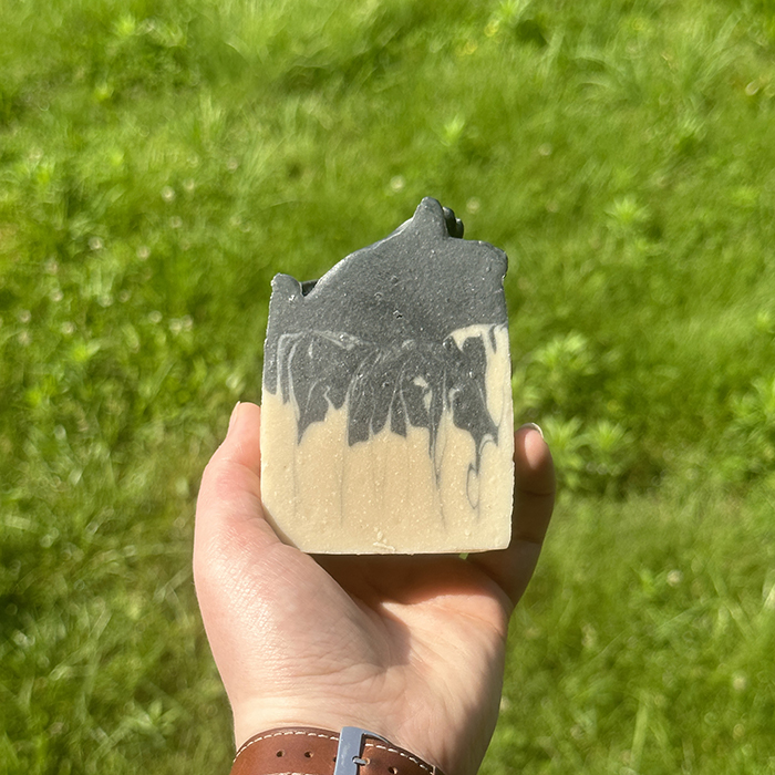 Goat Milk Handcrafted Soap - Facial Bar - Terra