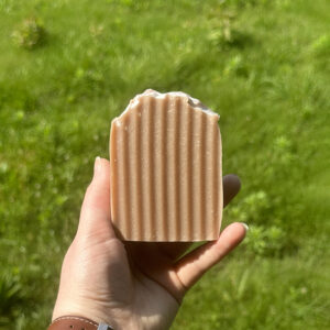Goat Milk Handcrafted Soap - Walk In The Woods